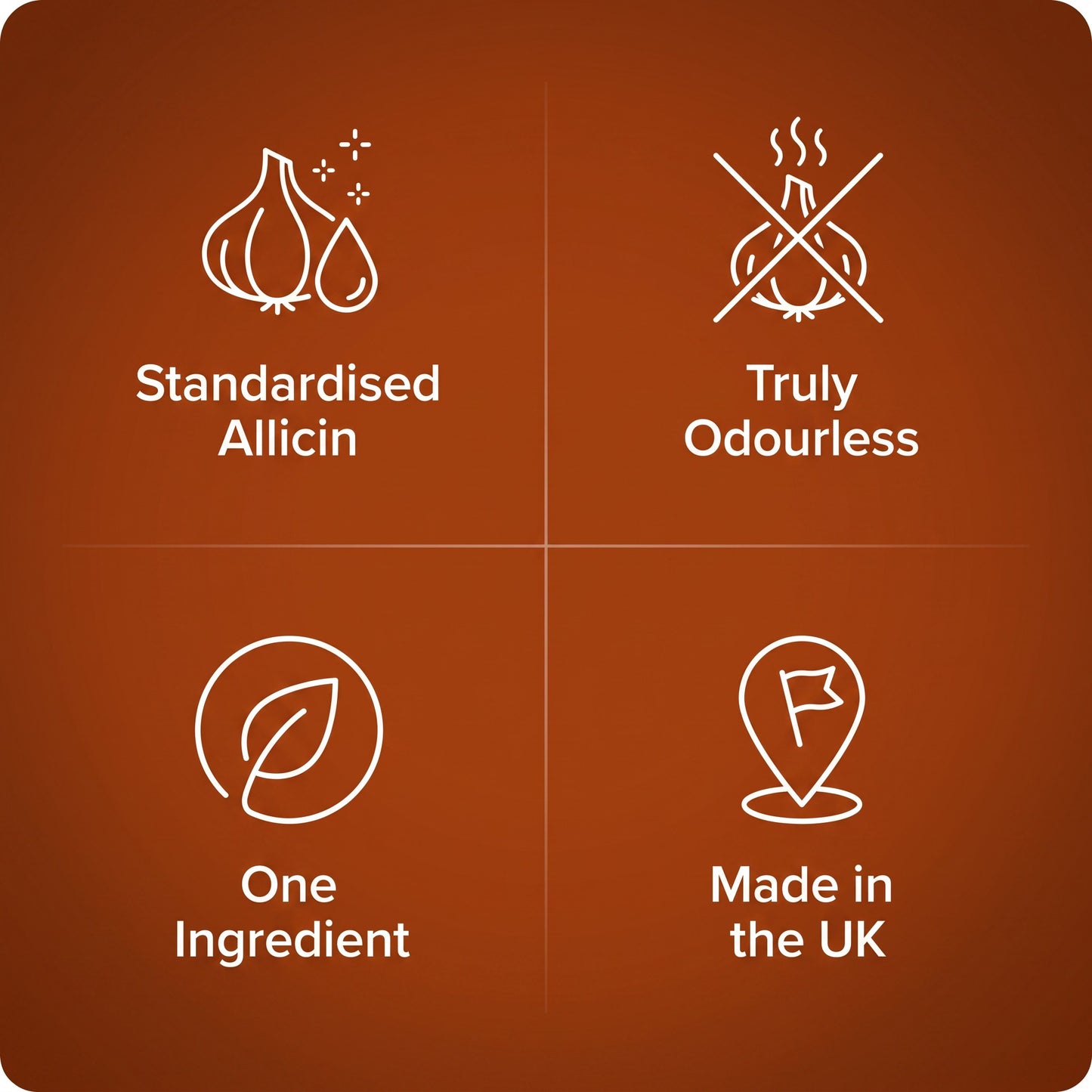 Allivin Odourless Garlic Extract